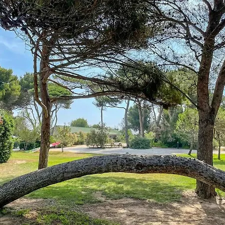 Appartement moderne en résidence privée face à la mer Hyères Extérieur photo