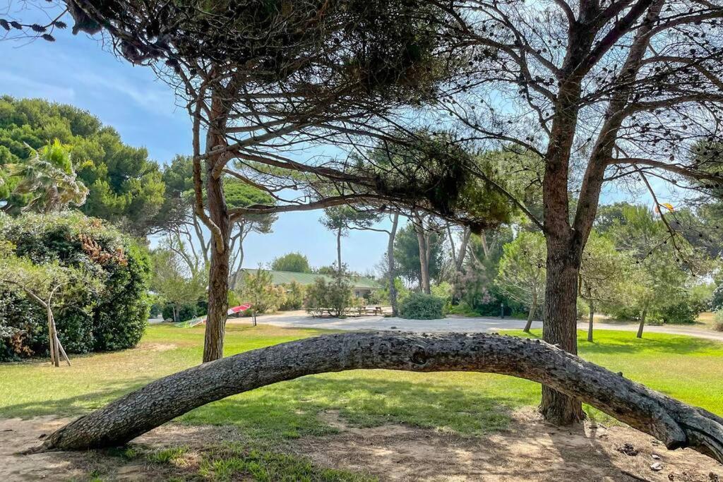 En Privee, Face A La Avec Acces Direct Hyeres